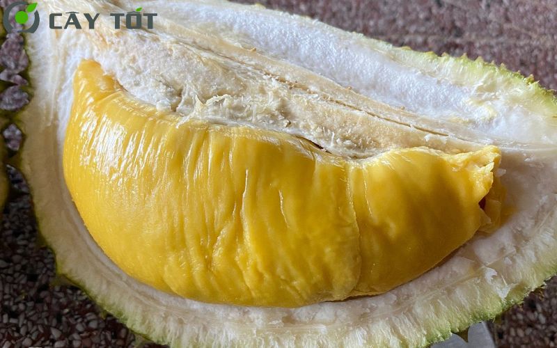 Trái sầu riêng Musang King D197