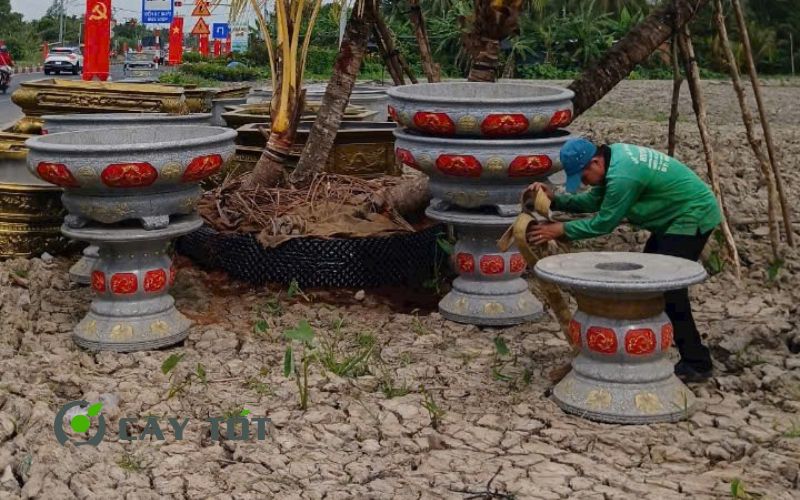 Chậu xi măng tròn tại xưởng Cây Tốt