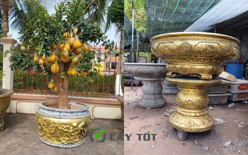 Chậu xi măng tròn tại xưởng Cây Tốt