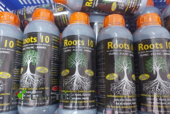 Thuốc kích rễ cho cây mít