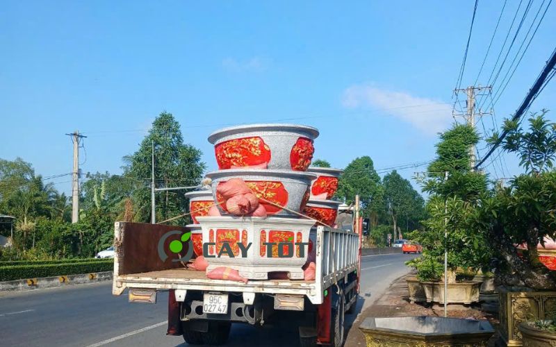 Chậu xi măng tròn