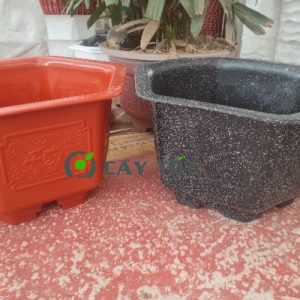 Chậu Nhựa Lục Giác Kích Thước 60cmx30cm