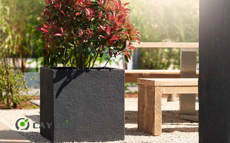 Chậu Composite Vuông Kích Thước 80cmx80cm
