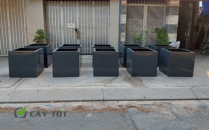 Chậu Composite Vuông Kích Thước 80cmx80cm