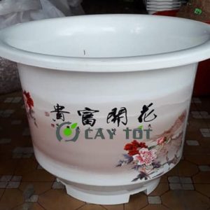 Chậu Nhựa Tròn Kích Thước 60cmx30cmx30cm