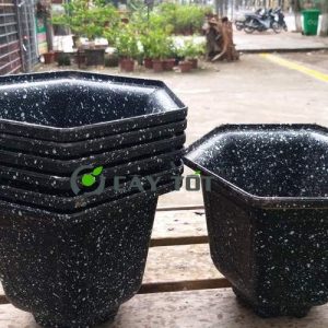 Chậu Nhựa Lục Giác Kích Thước 60cmx30cm