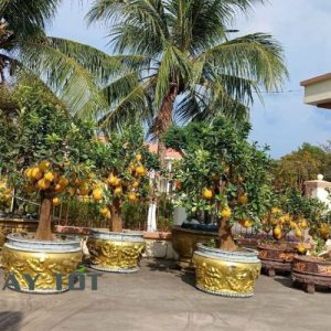 Chậu Xi Măng Tròn Loại II