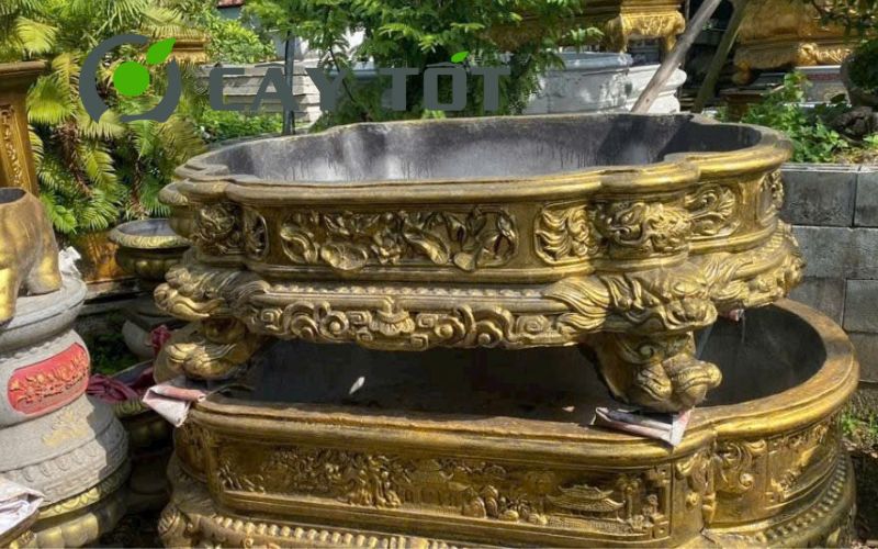 Chậu Xi Măng Hạt Xoài Loại V