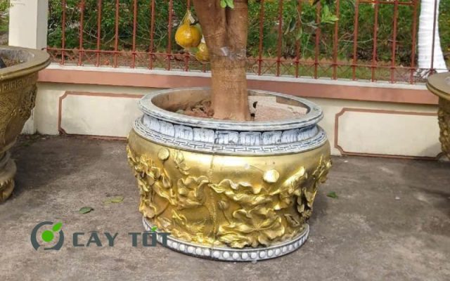 Chậu Xi Măng Tròn Loại II