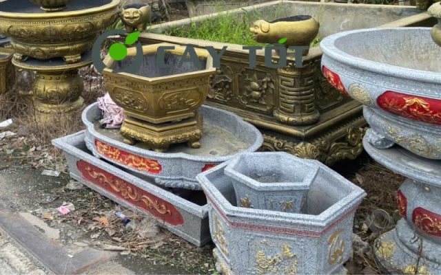 Chậu Xi Măng Hạt Xoài Loại V