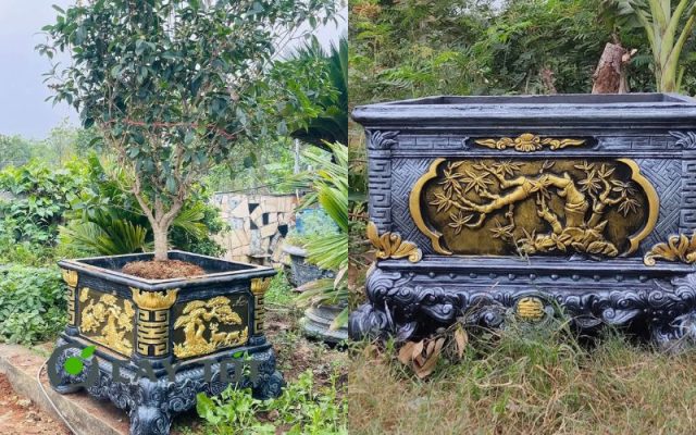 Chậu Xi Măng Vuông Kích Thước 1mx70cm