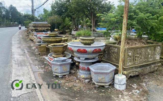 Chậu Xi Măng Vuông Kích Thước 1mx70cm