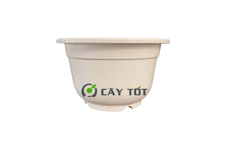 Chậu Nhựa Tròn Kích Thước 60cmx30cmx30cm