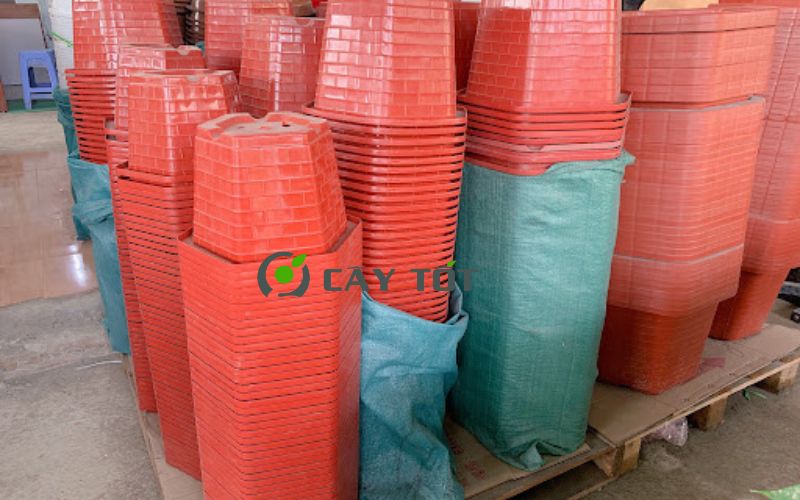 Chậu Nhựa Lục Giác Kích Thước 60cmx30cm