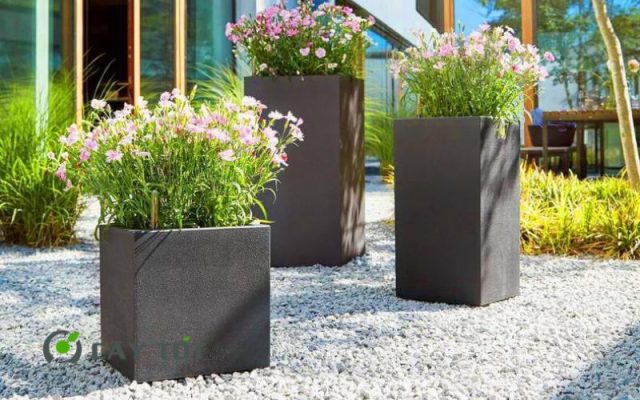 Chậu Composite Vuông Kích Thước 80cmx80cm