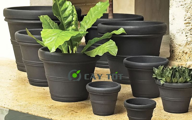 Chậu Nhựa Tròn Kích Thước 60cmx30cmx30cm