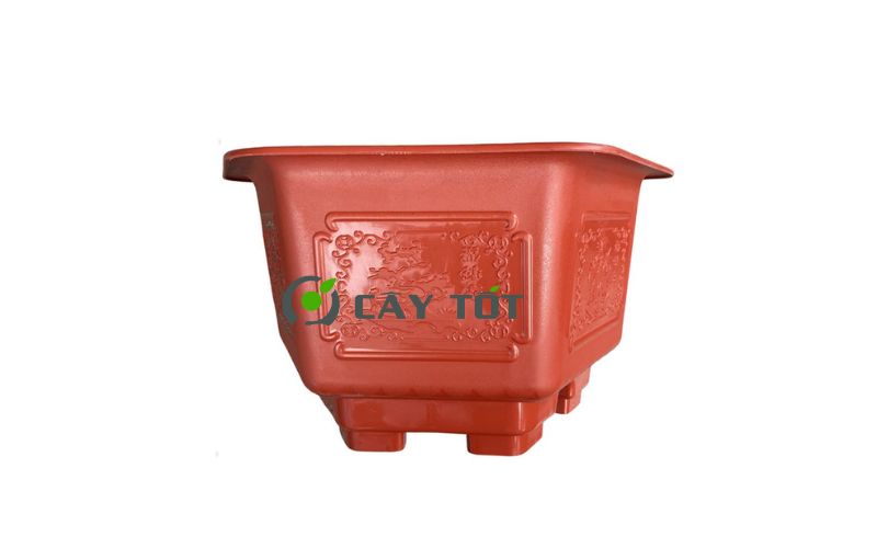 Chậu Nhựa Lục Giác Kích Thước 60cmx30cm