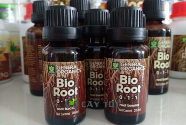 Kích Rễ Bio Root USA