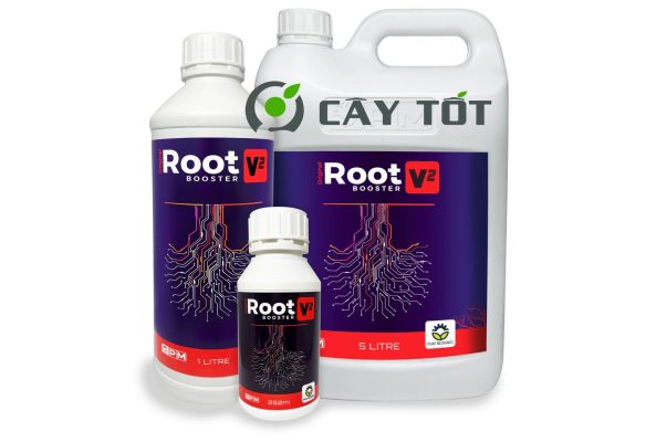 Thuốc Root Premium Hỗ Trợ Cây Chiết Ghép