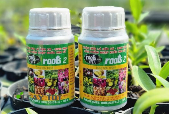 Thuốc Root Juice Chuyên Cho Lan