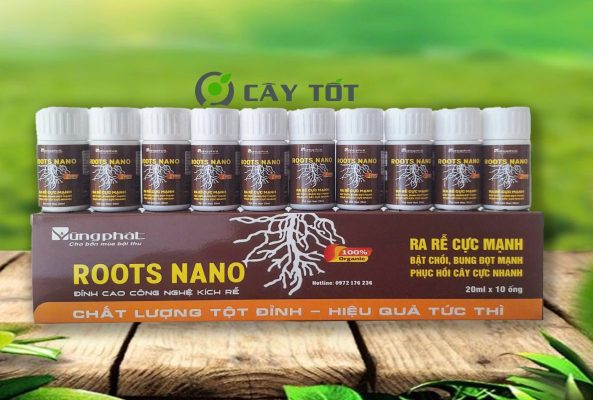 Dung Dịch Root Liquid