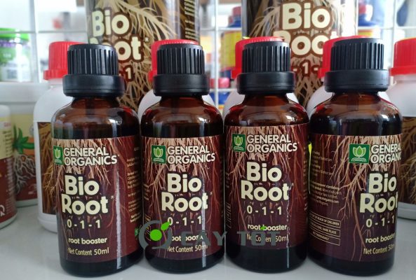 Kích Rễ Root Bio