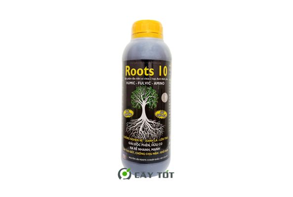 Kích Rễ Root Vàng