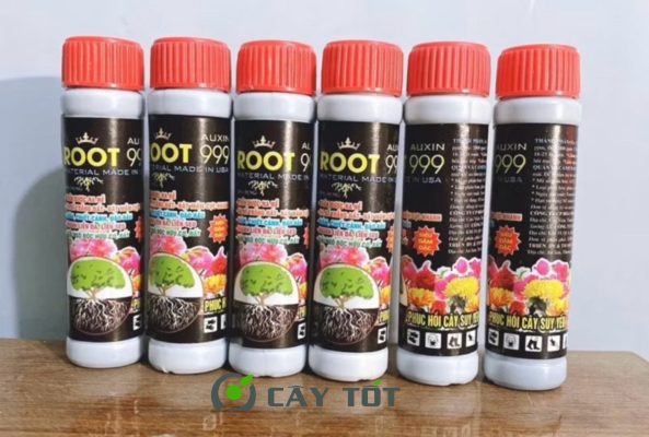Kích Rễ Root Super 999