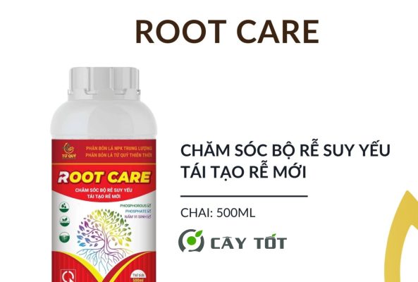 Root Care