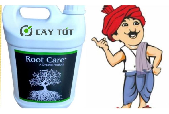 Root Care 5X