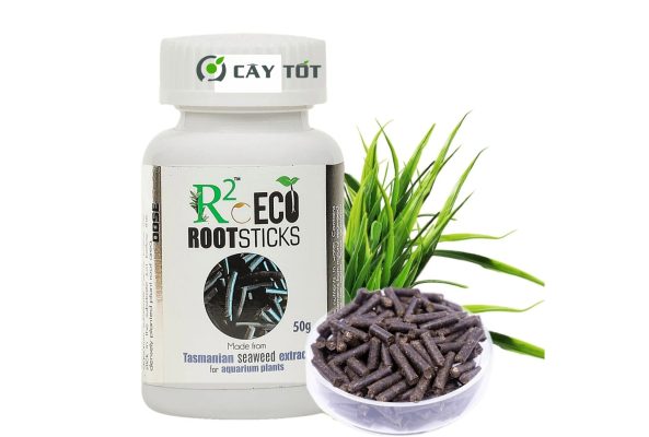 Kích Rễ Sinh Học Root Eco Green