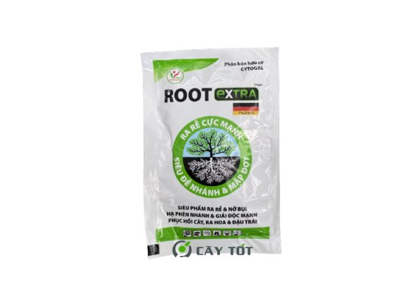 Root Extra Care