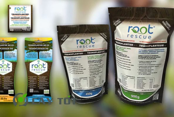 Kích Rễ Root For Life