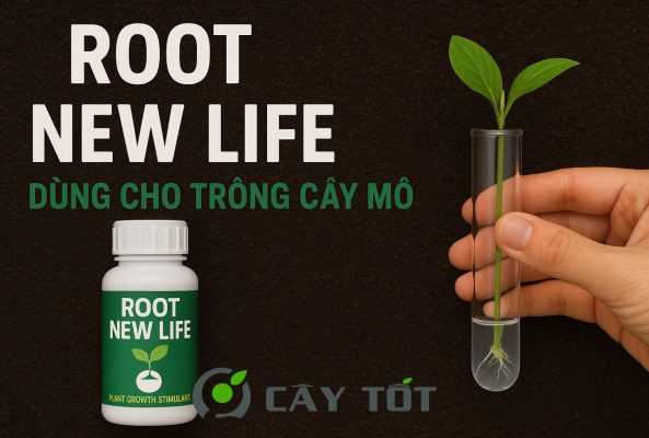 Root New Life Dùng Cho Trồng Cây Mô