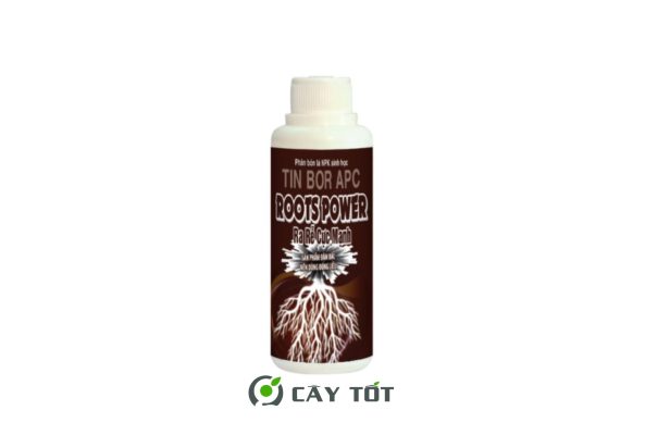Root Power 10X
