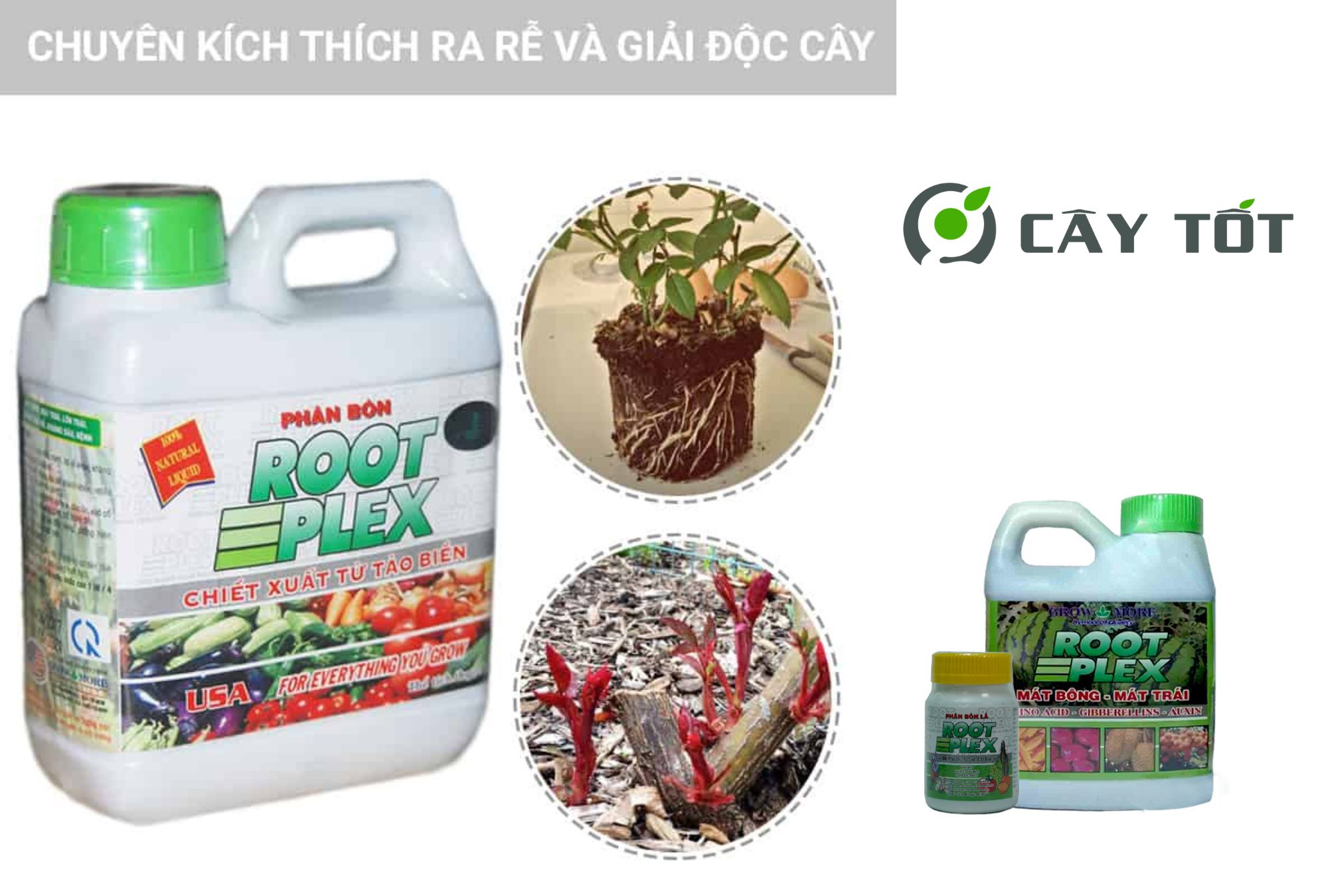 Kích Rễ Root Plex - Ra Rễ Nhanh, Cây Khỏe, Giá Tốt 2025