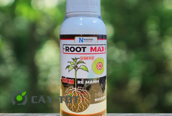 Kích Rễ Root Max USA
