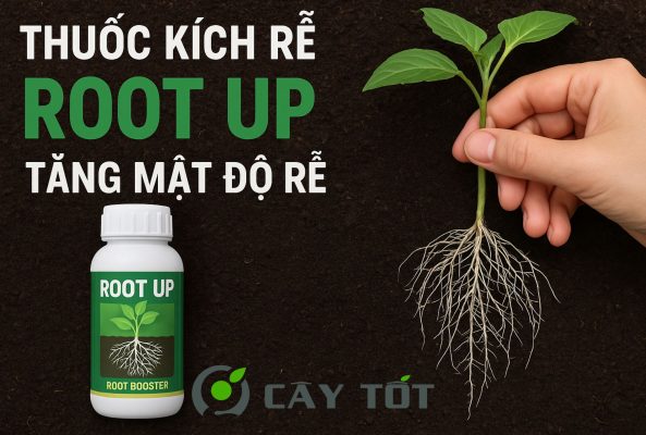 Thuốc Kích Rễ Root Up Tăng Mật Độ Rễ