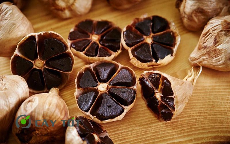 Hạt Giống Tỏi Đen