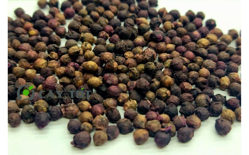 Hạt Giống Rau Mồng Tơi