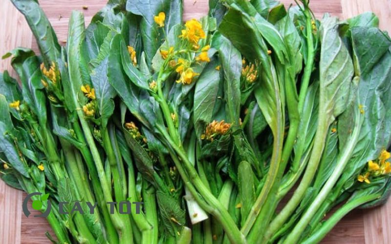 Hạt Giống Bông Cải Ngồng