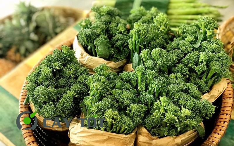 Hạt Giống Bông Cải Baby