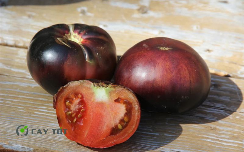 Hạt Giống Cà Chua Đen