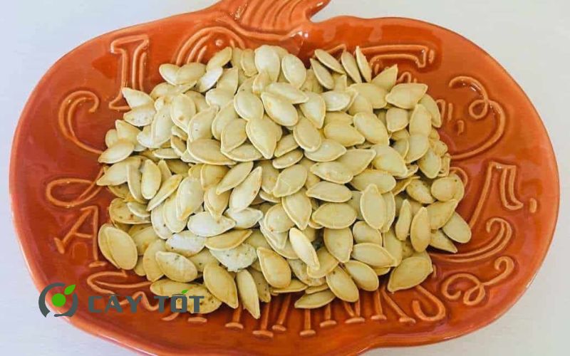 Hạt Giống Bí Rợ