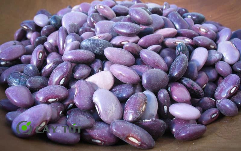 Hạt Giống Đậu Cove Tím