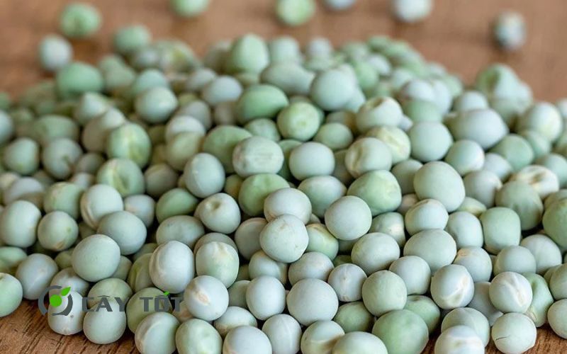 Hạt Giống Đậu Hà Lan Leo