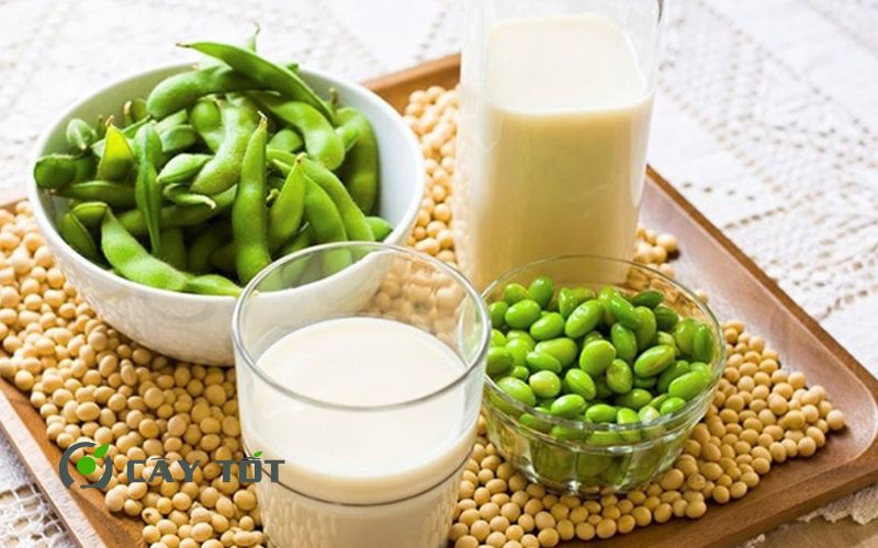 Hạt giống Đậu Nành