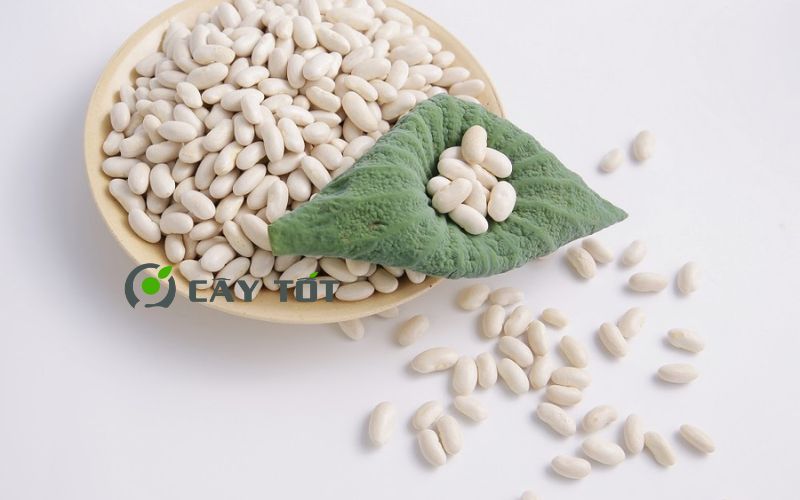 Hạt Giống Đậu Trắng