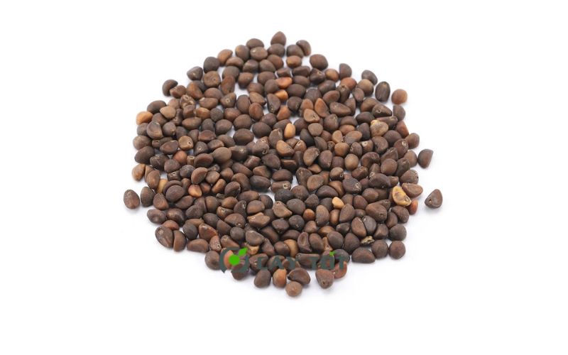 Hạt Giống Rau Muống