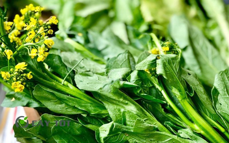 Hạt Giống Cải Ngồng